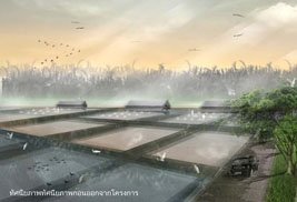 Thesis 2012 : CU/6