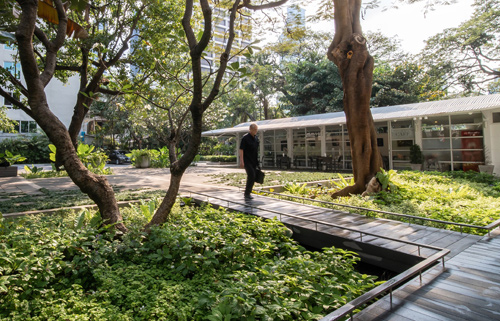 โครงการบูรณะห้องสมุดเนียลสัน เฮย์ส 
