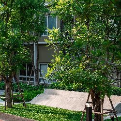 พลัม คอนโด รังสิต อไลฟ์ 1,2